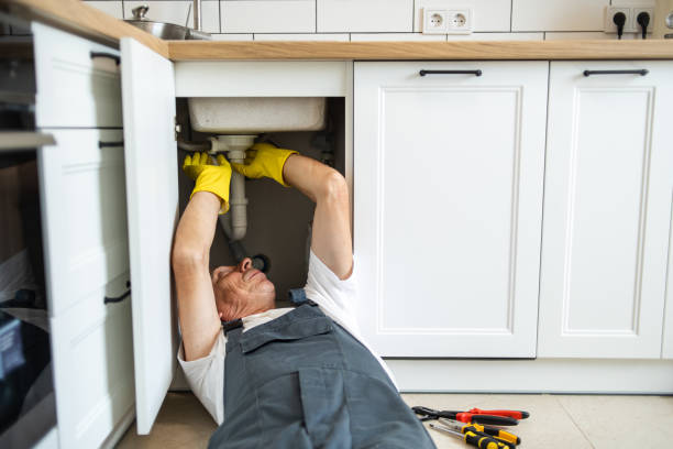Best Commercial Plumbing Services  in Pleasant Ridge, MI