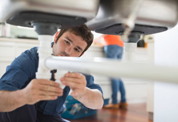 Best Plumbing Repair Near Me  in Pleasant Ridge, MI