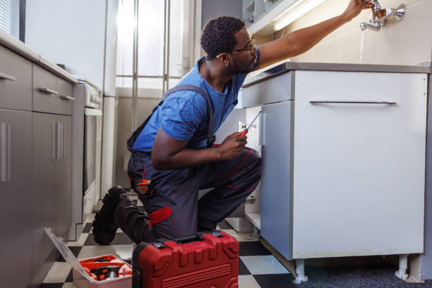 Best Best Plumbers Near Me  in Pleasant Ridge, MI