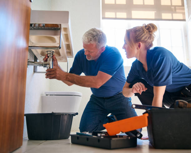 Best Plumbing Services Near Me  in Pleasant Ridge, MI